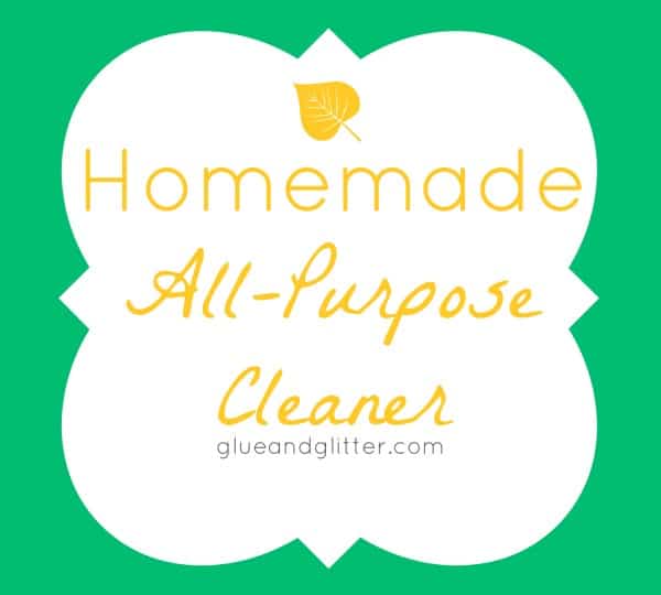 Homemade All Purpose Cleaner