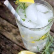 glass of lavender lemon gin and tonic on a picnic table with sprigs of lavender and lemon slices