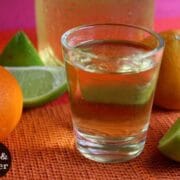 close-up of a shot glass of citrus gin next to oranges, limes, and lemons