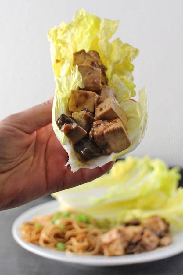 close-up of a tofu wrap in a hand