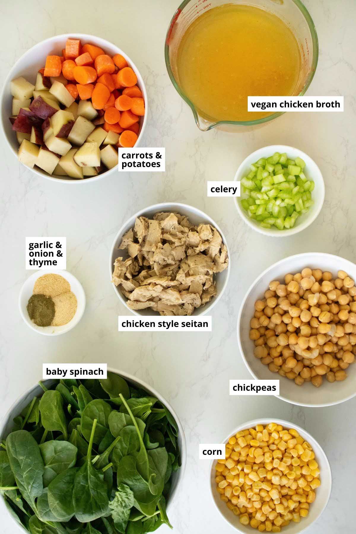 veggies, vegan chicken, chickpeas, and other stew ingredients on a white table