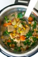ladle serving vegan chicken stew from the Instant Pot