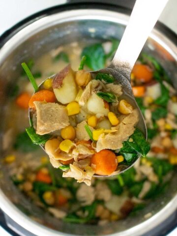 ladle serving vegan chicken stew from the Instant Pot