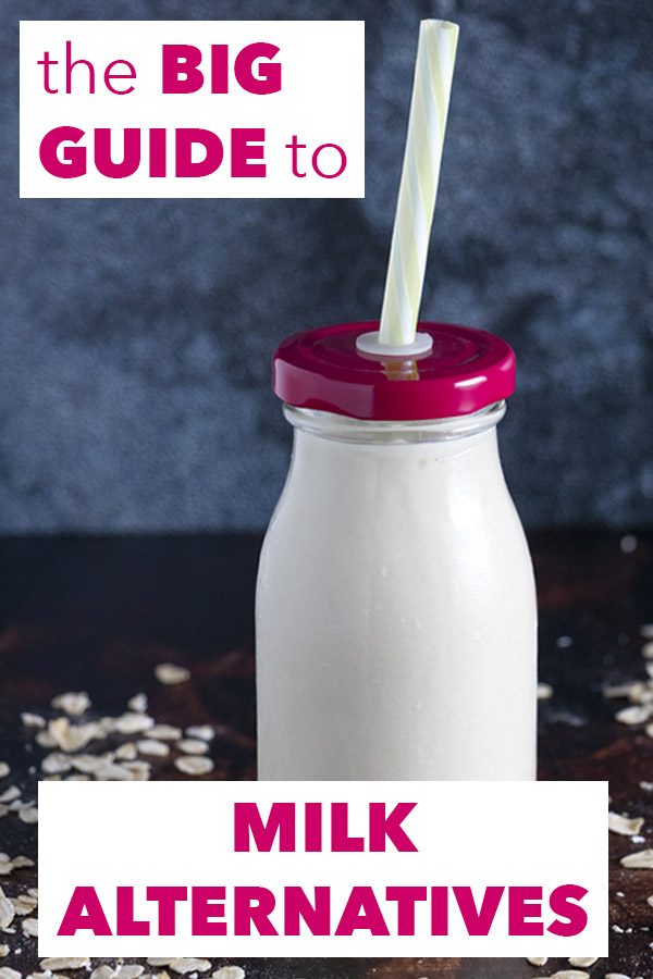 Whether you want to buy your milk alternatives at the store or make vegan milk from scratch, this guide has you covered with the best vegan milks out there.