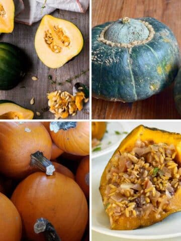 image collage of different types of winter squash