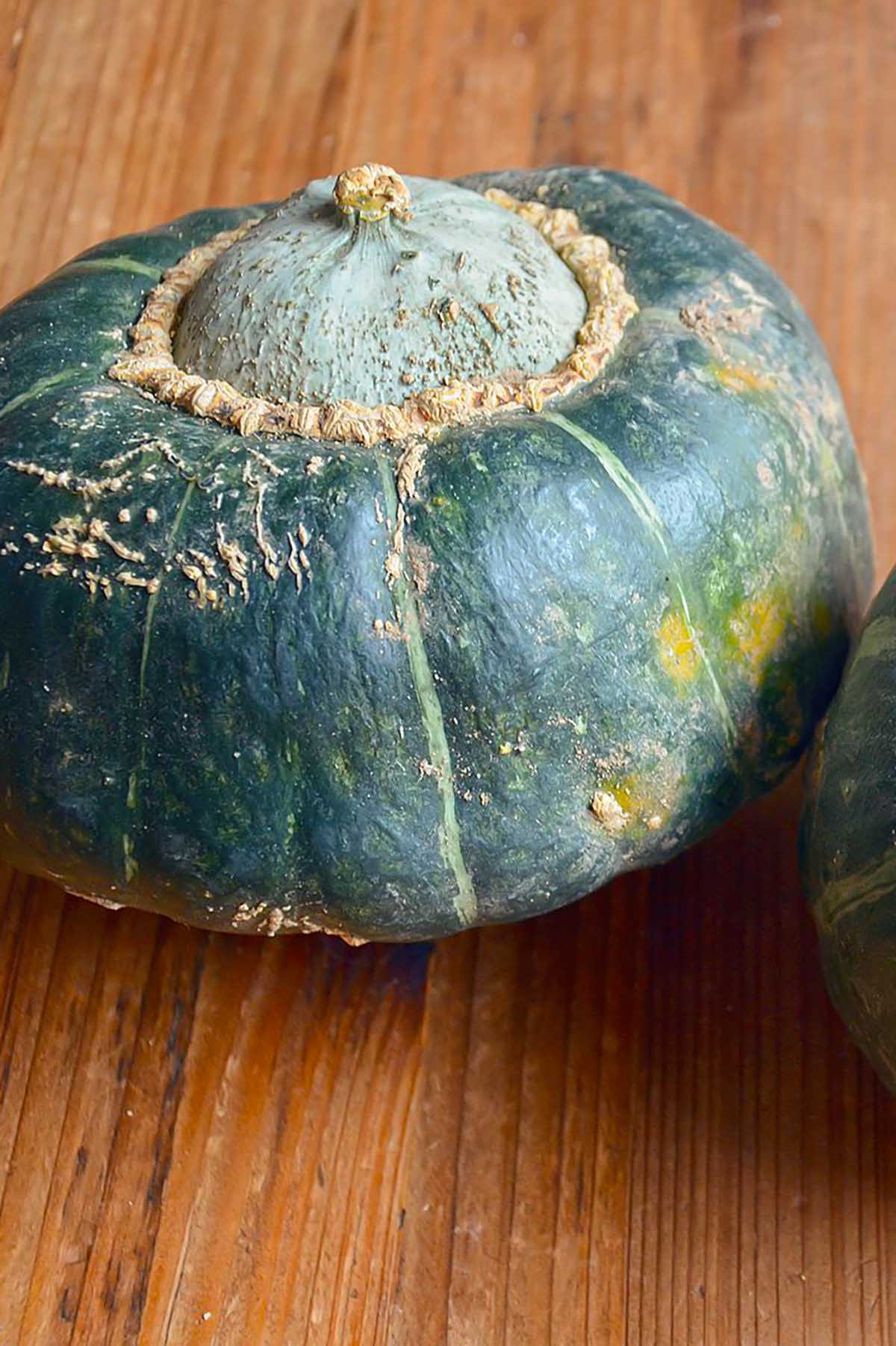 buttercup squash on a kitchen counter