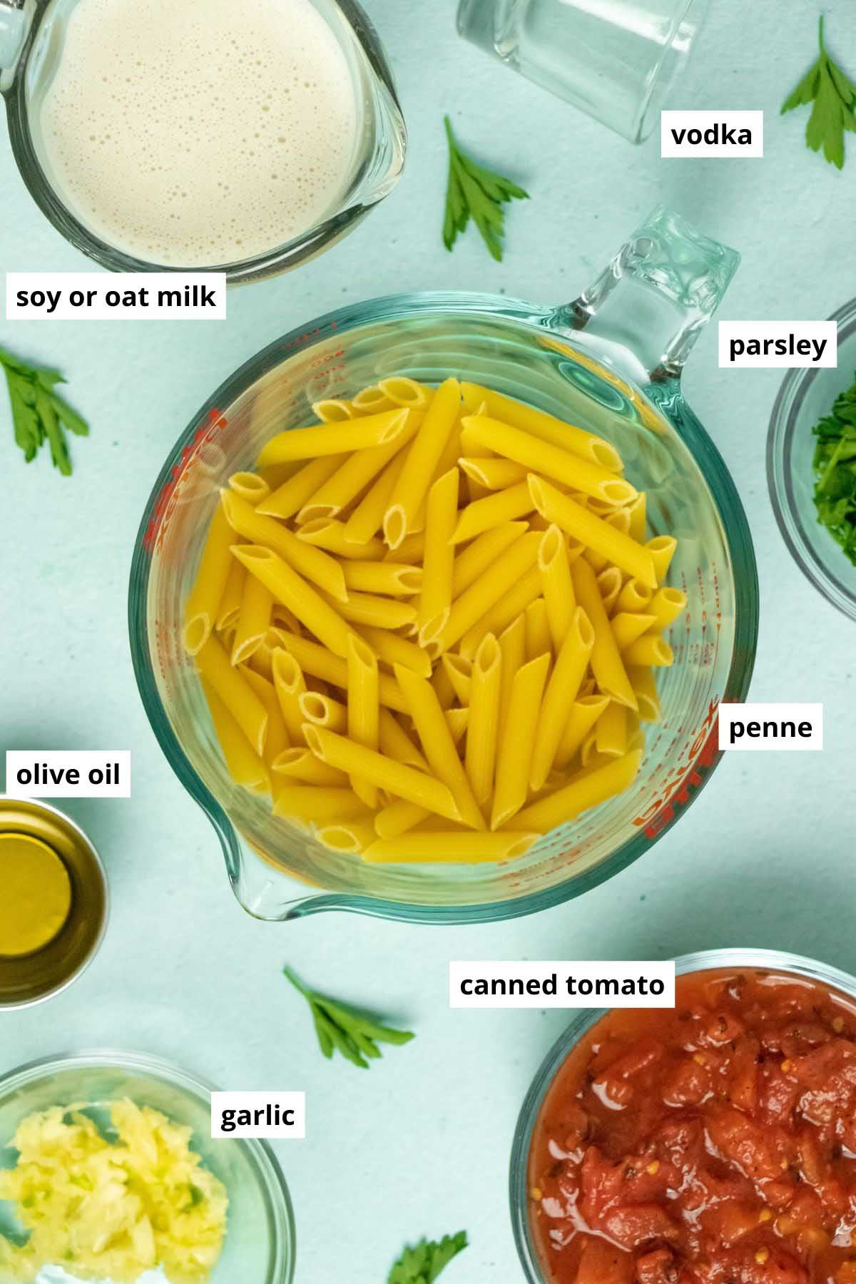 dry penne, tomatoes, garlic, and other vegan vodka sauce ingredients bowls on a blue table