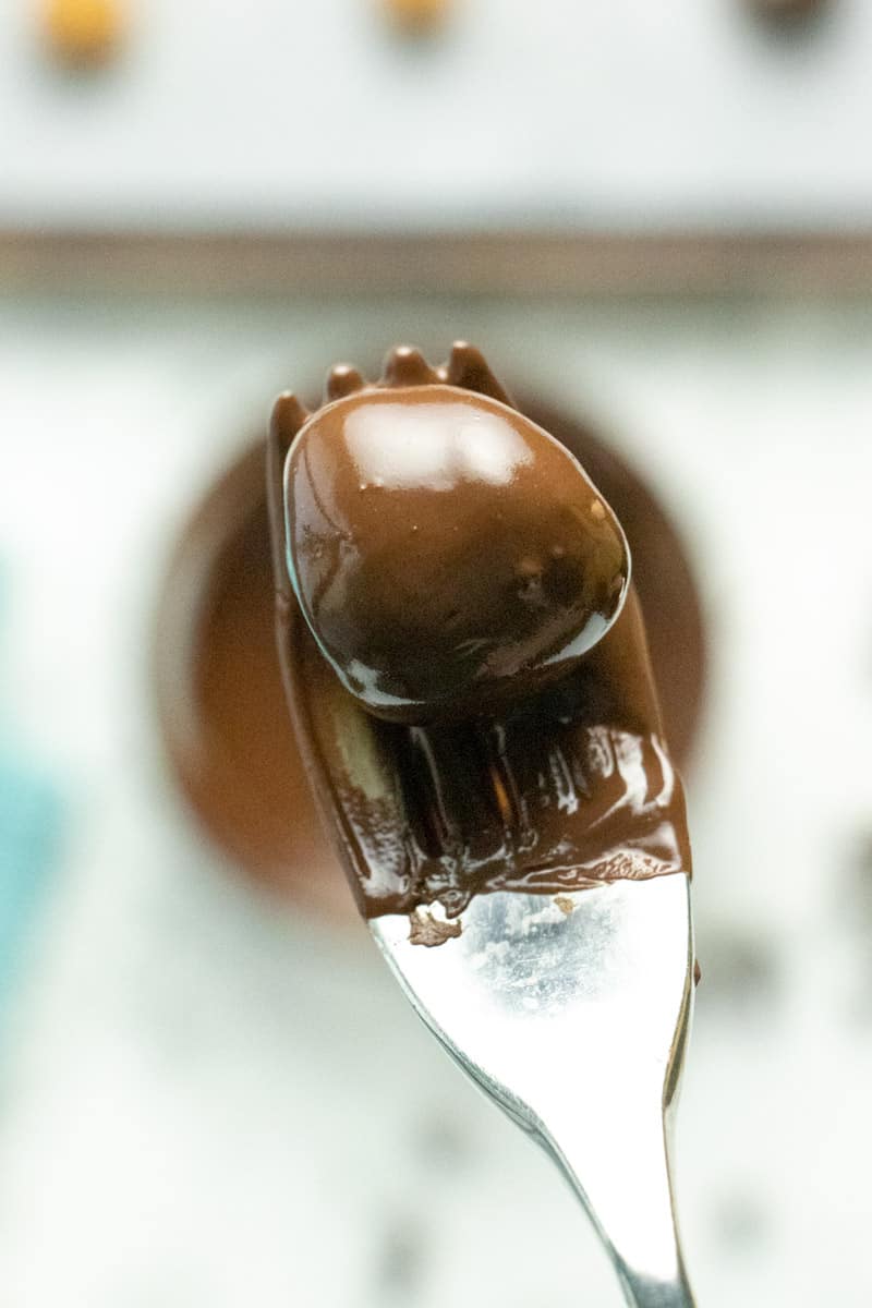 peanut butter energy ball coated in melted chocolate on a fork
