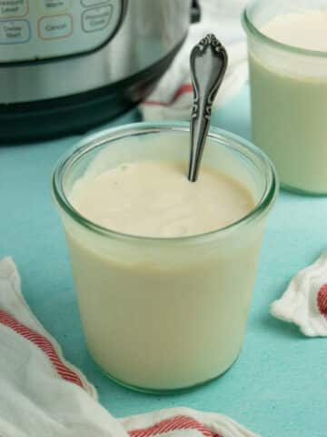 Two-ingredient Instant Pot yogurt from soy milk