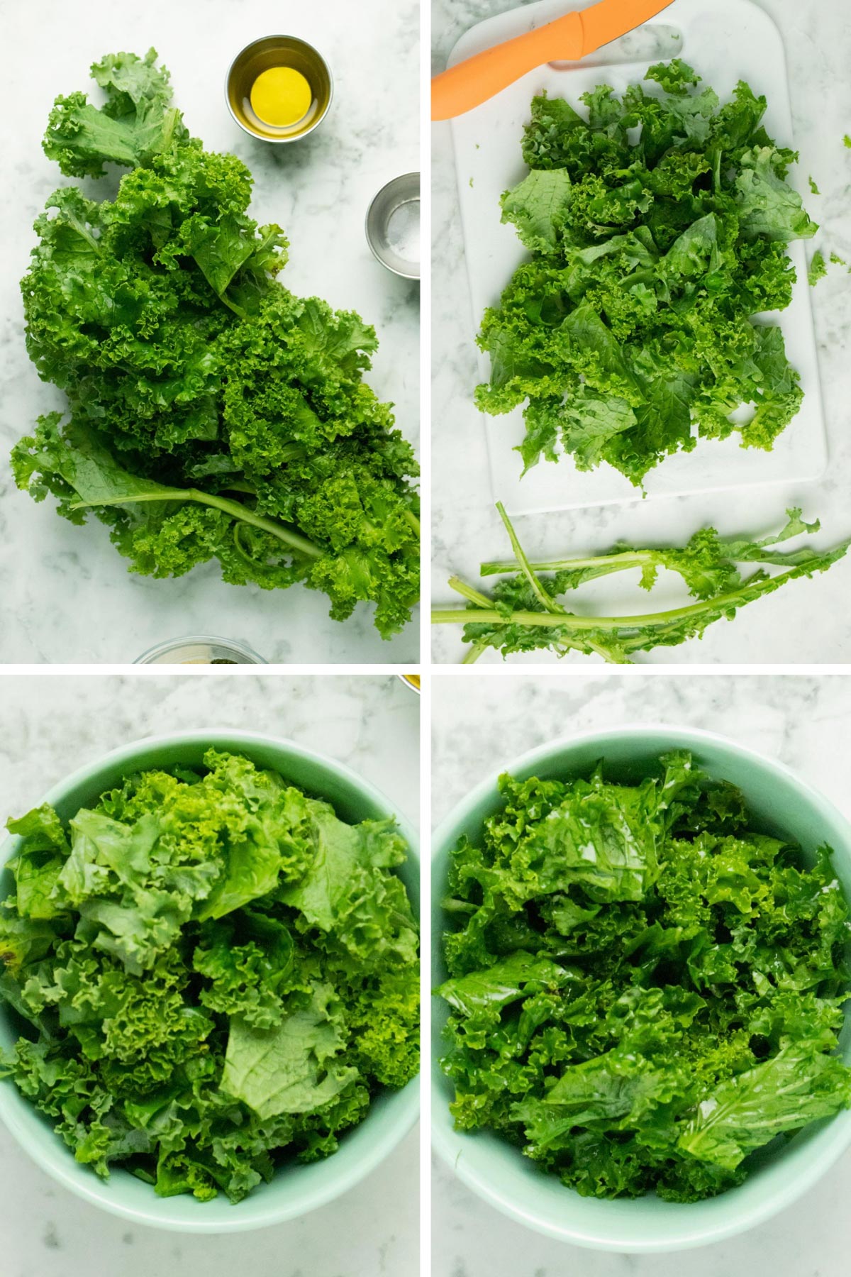 Air fryer kale chips (with plenty of flavor variations!)