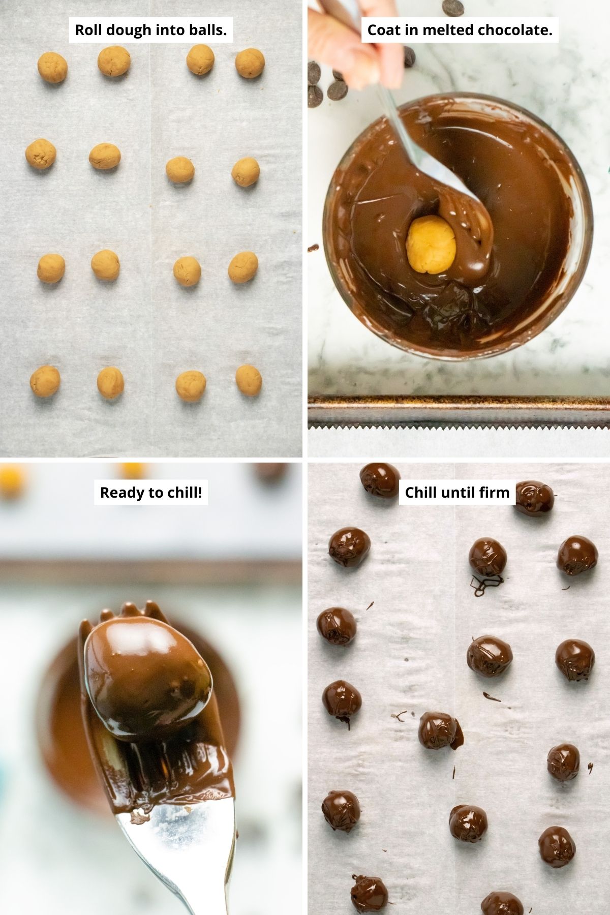 image collage showing the peanut butter balls before covering in chocolate, in a bowl of melted chocolate, a close-up of one chocolate-coated peanut butter ball, and then all of them on a baking sheet, ready to freeze