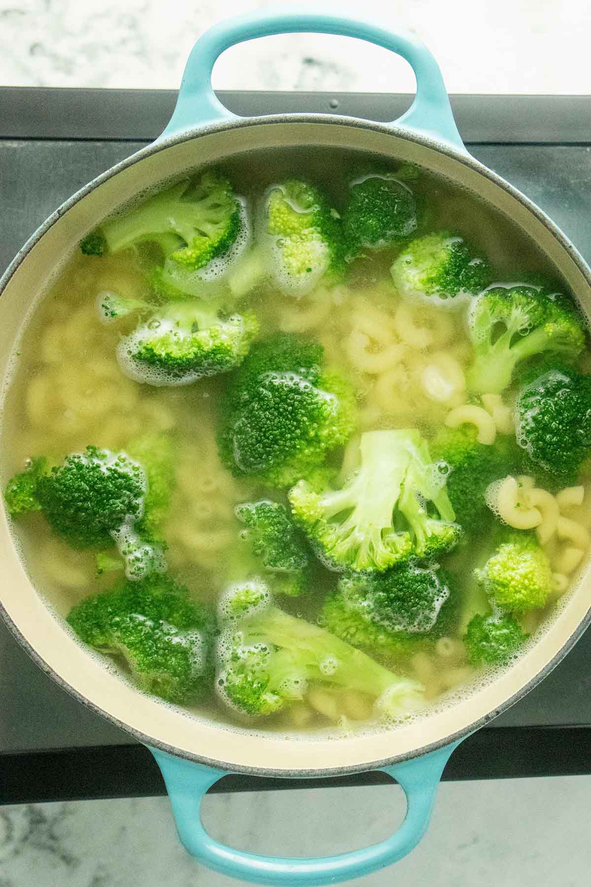 macaroni and broccoli in a pot