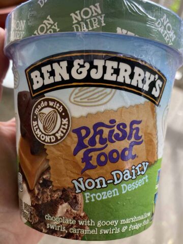 hand holding a pint of Ben & Jerry's Non-Dairy Phish Food