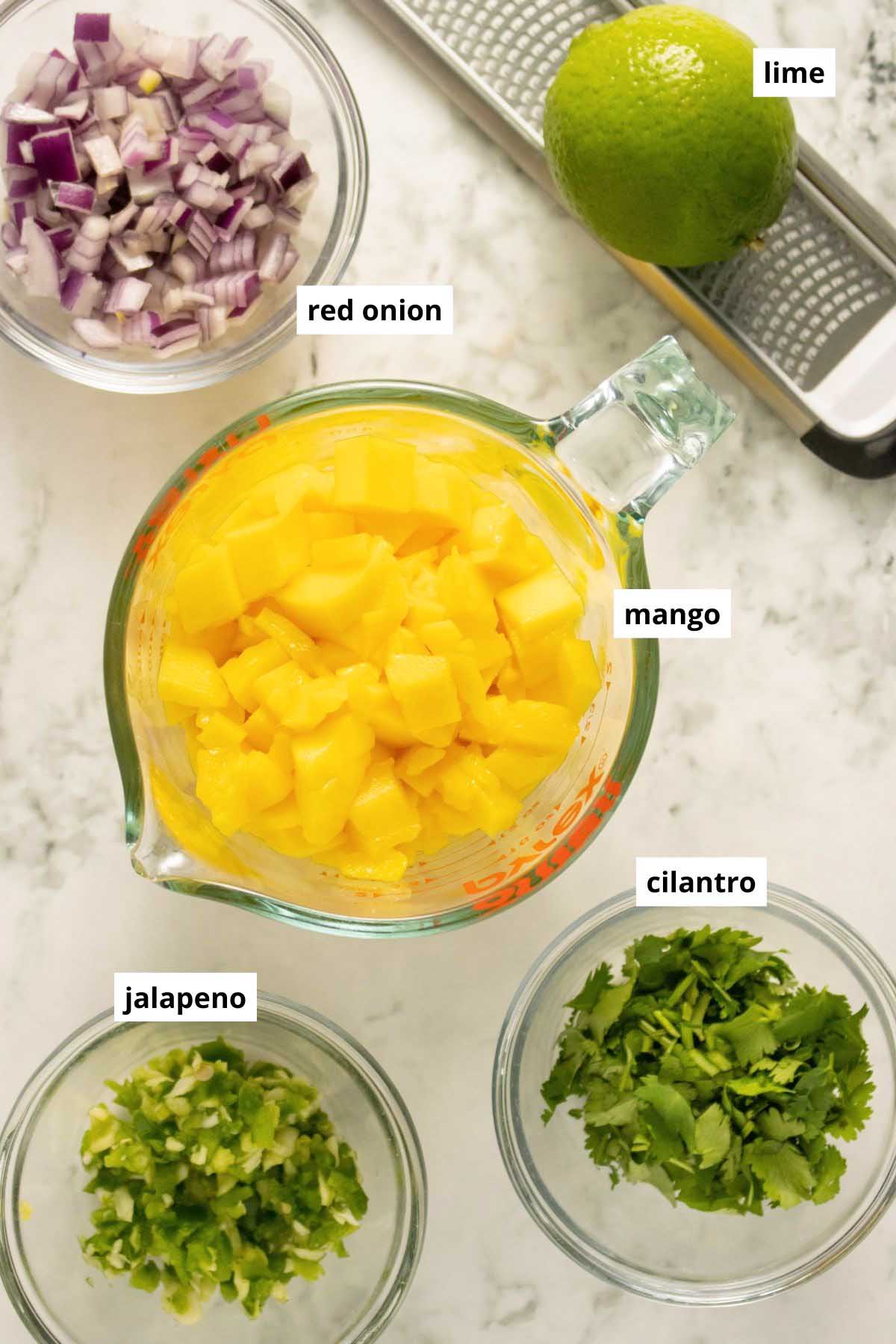 mango, onions, jalapeno, cilantro, and a lime on a white table