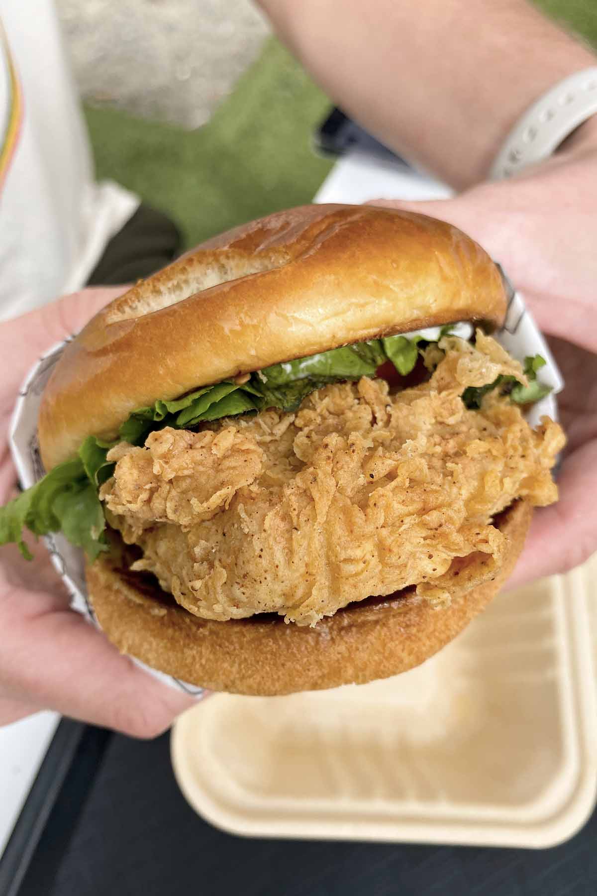 hands holding a vegan fried chicken sandwich