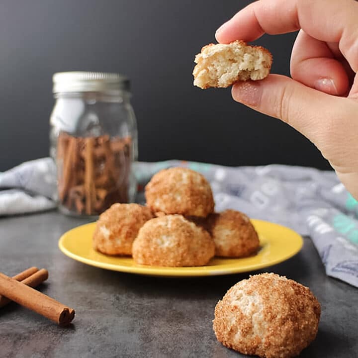 Vegan Air Fryer Donut Holes (no yeast needed!)
