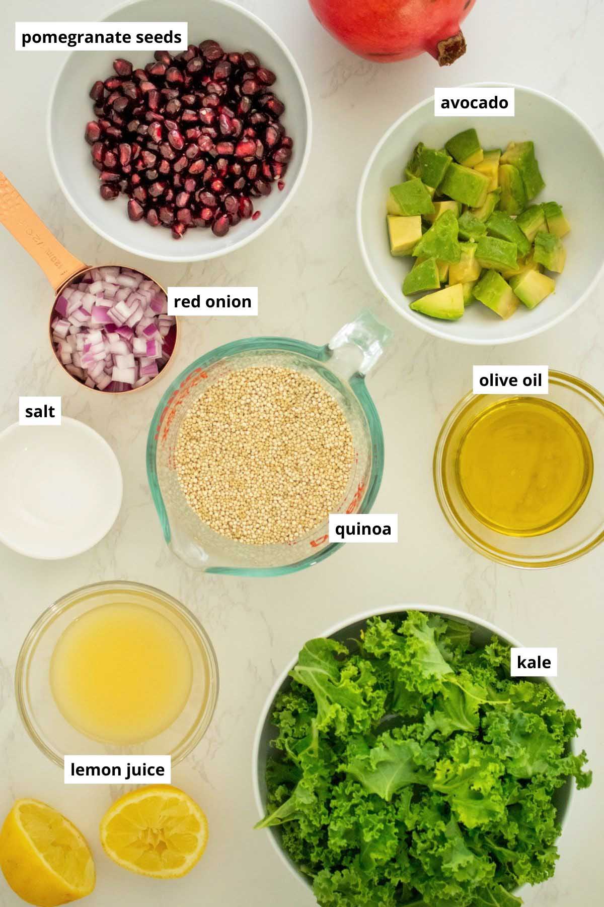 quinoa, kale, onion, avocado, olive oil, and lemon juice in bowls on a white table