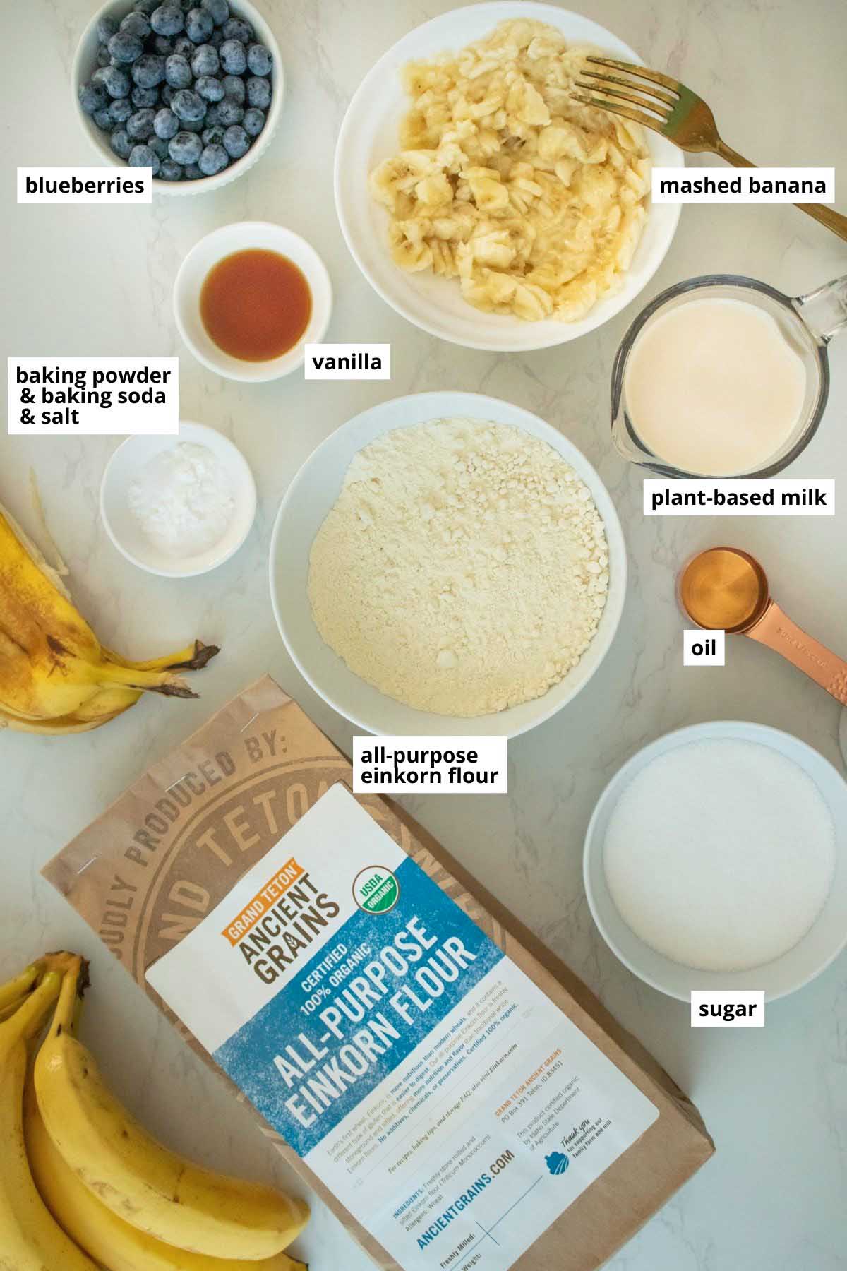 einkorn flour, mashed bananas, blueberries, and other muffin ingredients in bowls on a white table next to a bag of einkorn flour