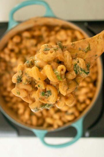 close-up of vegan protein pasta on a serving spoon