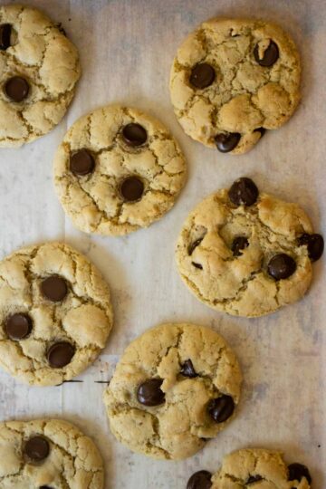 close-up of chocolate chip cookies on the baking sheet after baking