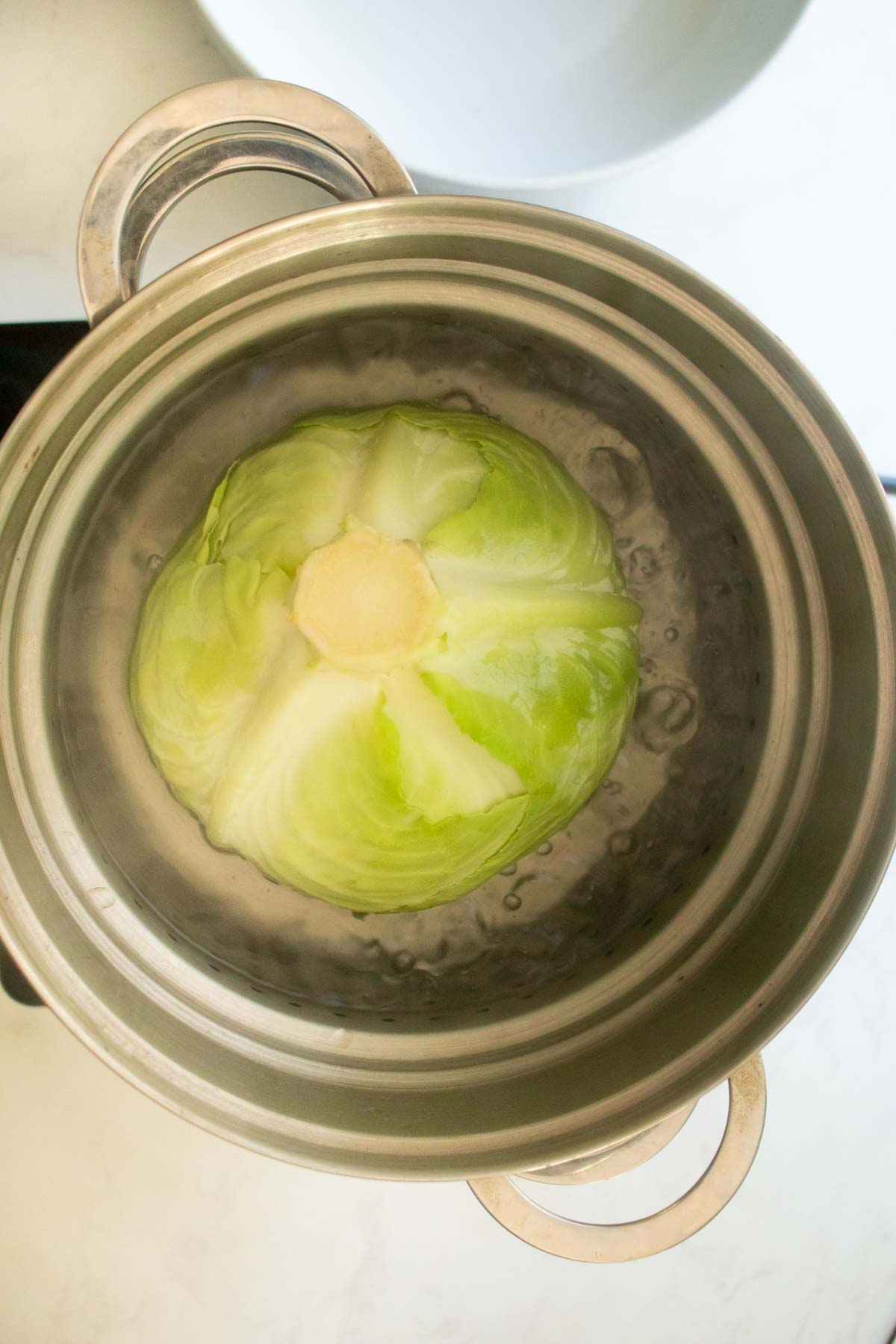 cabbage in the pot before boiling