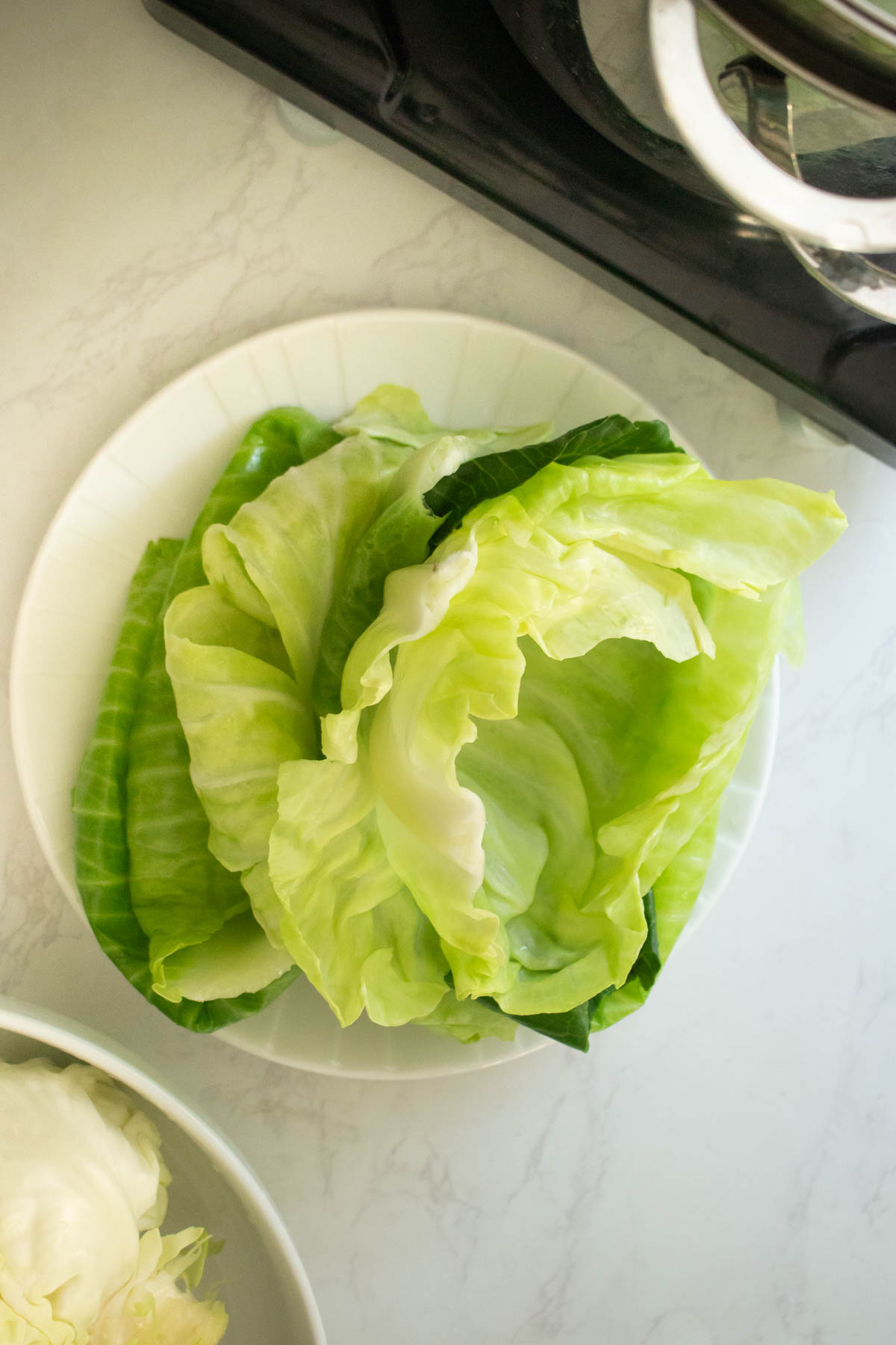 cabbage leaves on a plate