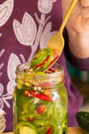fork serving some pickled chilies from the jar