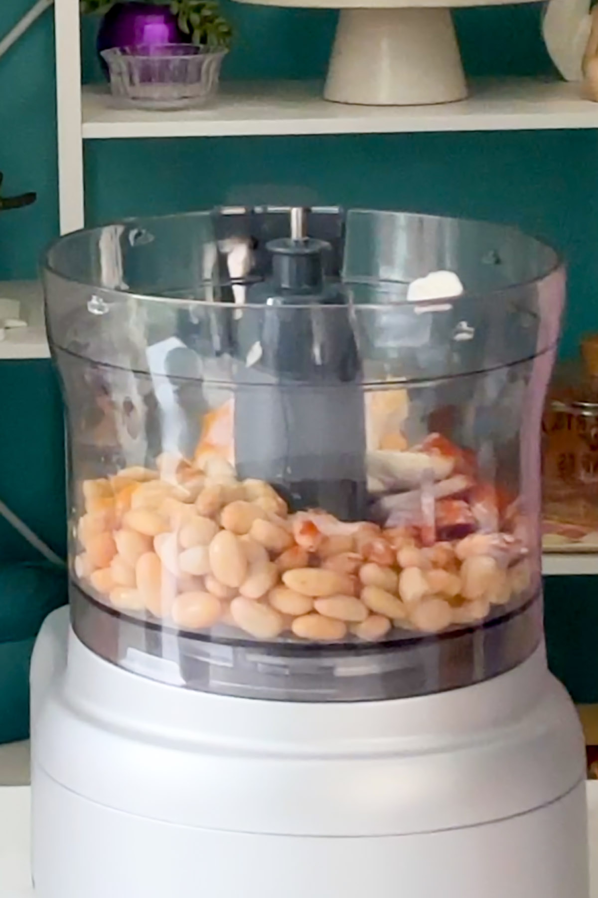 white beans, mayo, onion, and spices in the food processor before running it