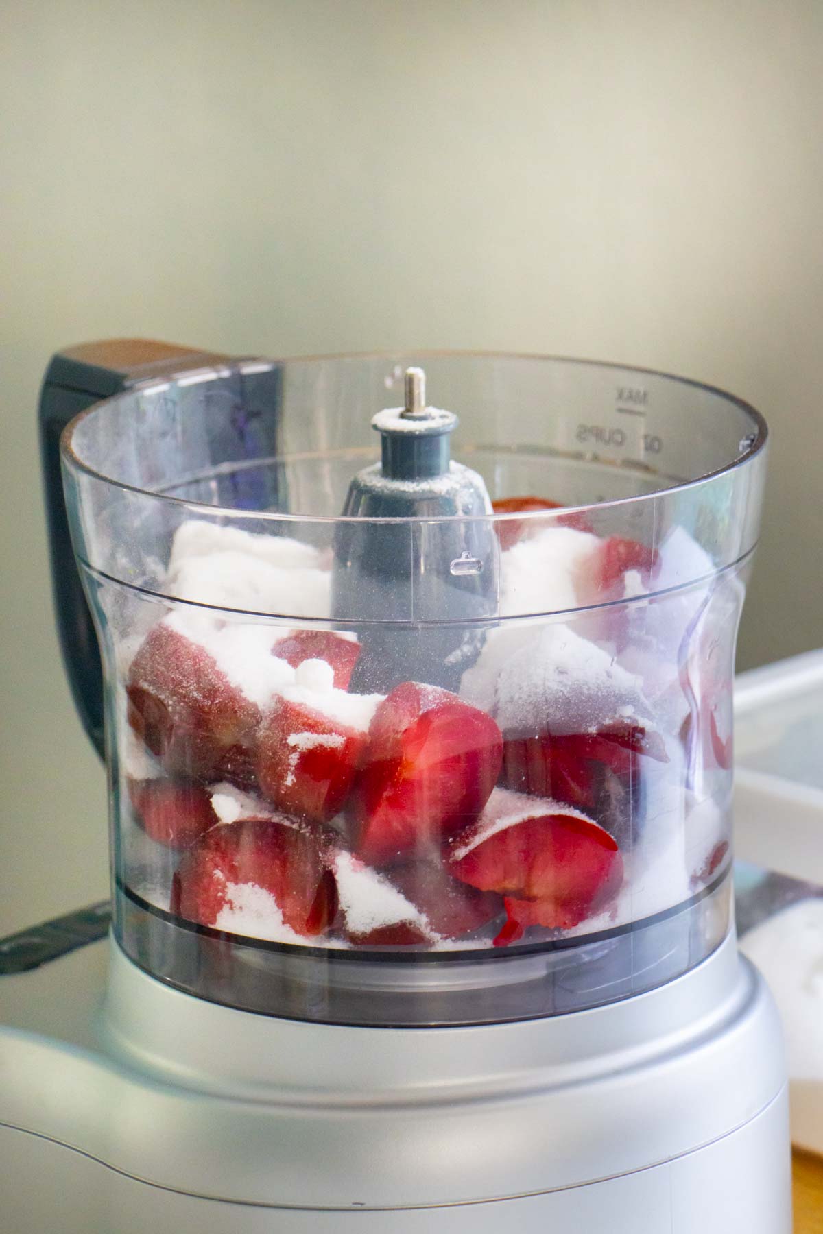 plum jam ingredients in the food processor before running it