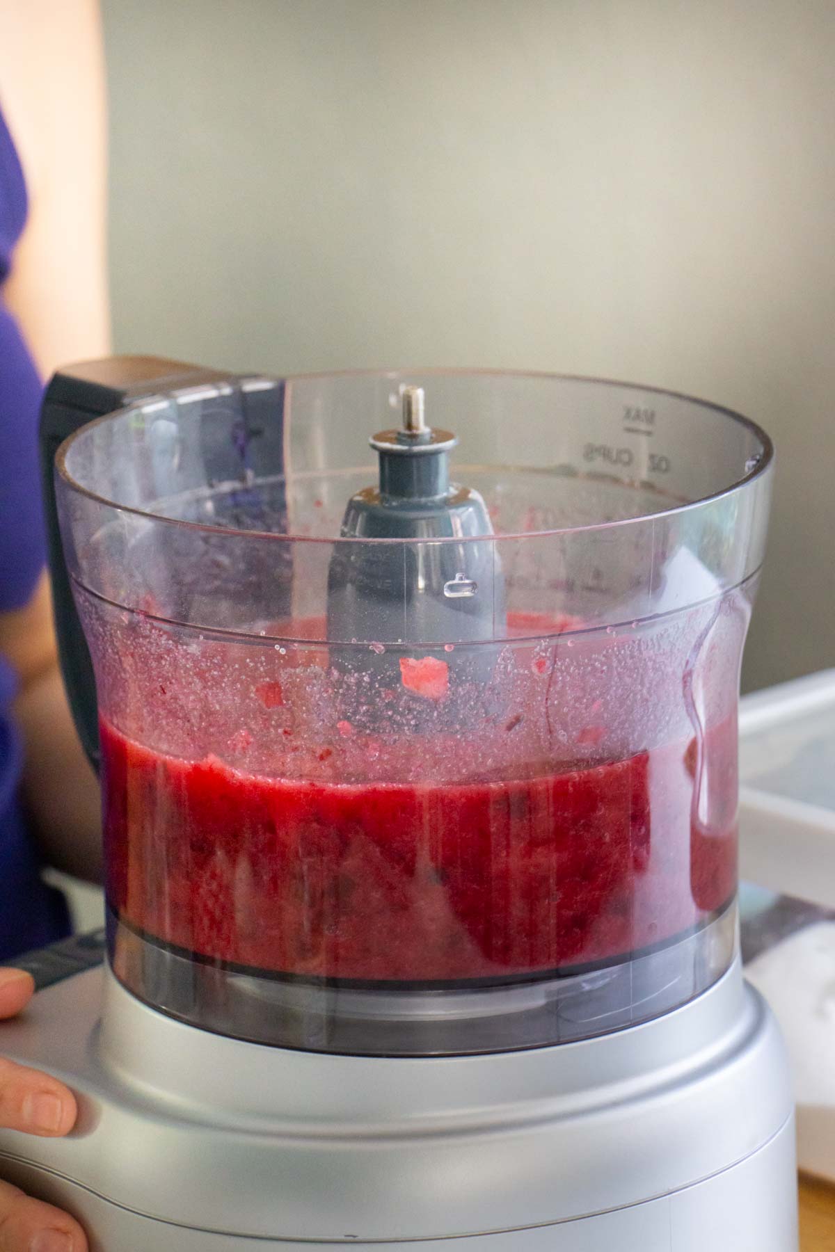 plum jam ingredients in the food processor after running it