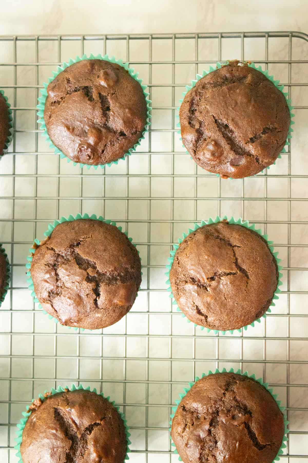 close-up of vegan chocolate chocolate chip muffins on a cooling rack