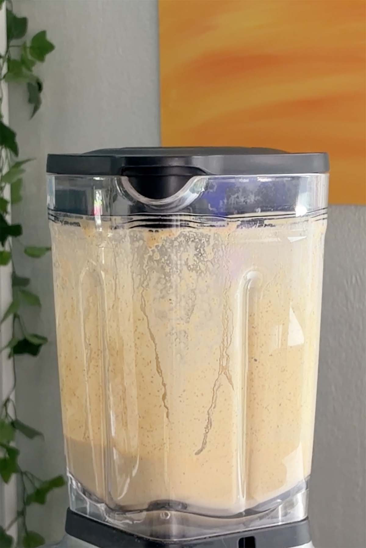 white pasta sauce in the blender after blending
