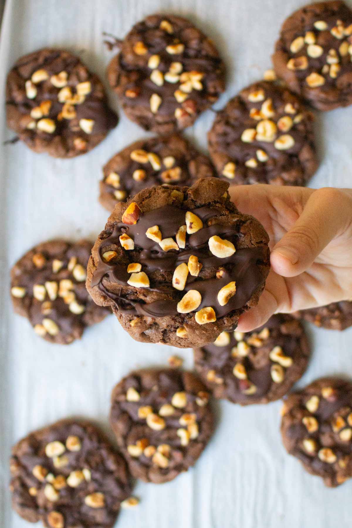 hand holding a chocolate hazelnut cookie