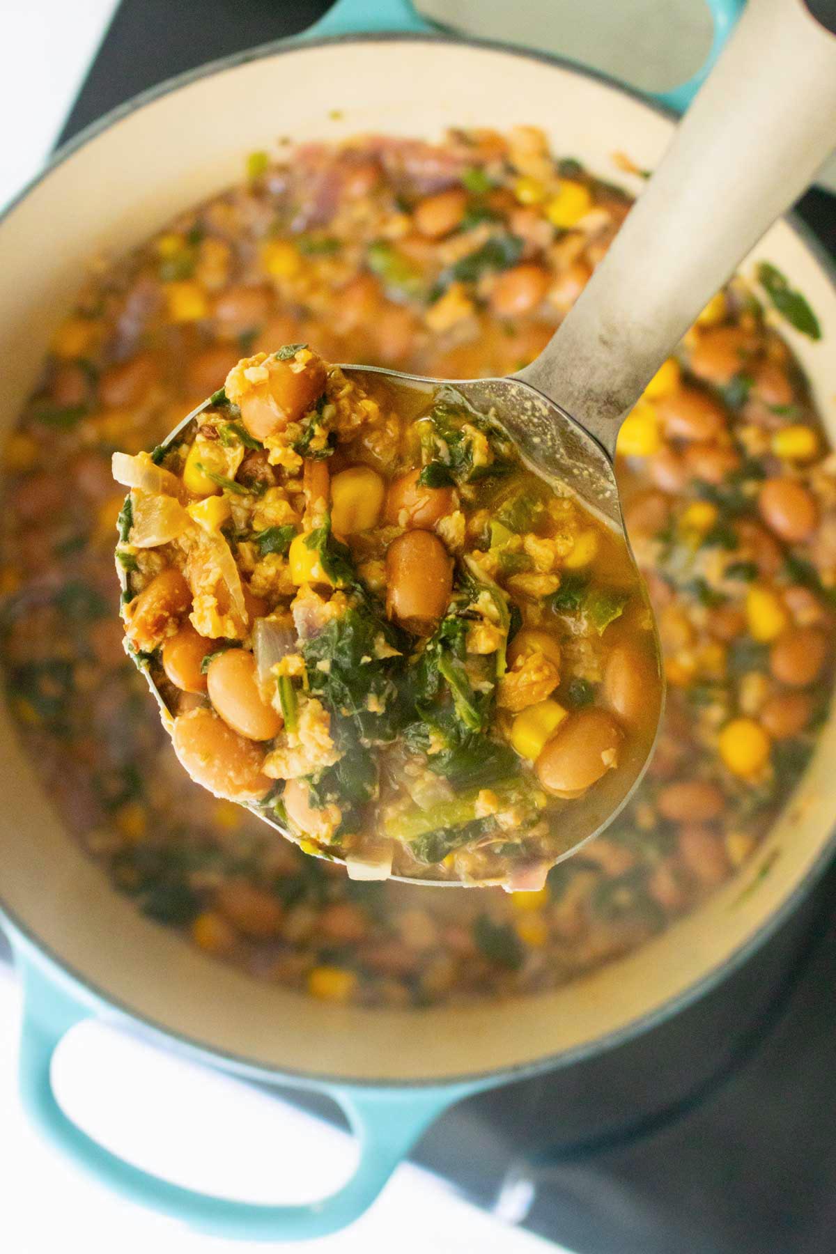 ladle serving some pinto bean curry from the pan