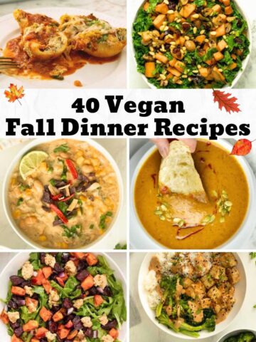 image collage of vegan fall dinner recipes: pasta, salad, chili, soup, and a bowl meal