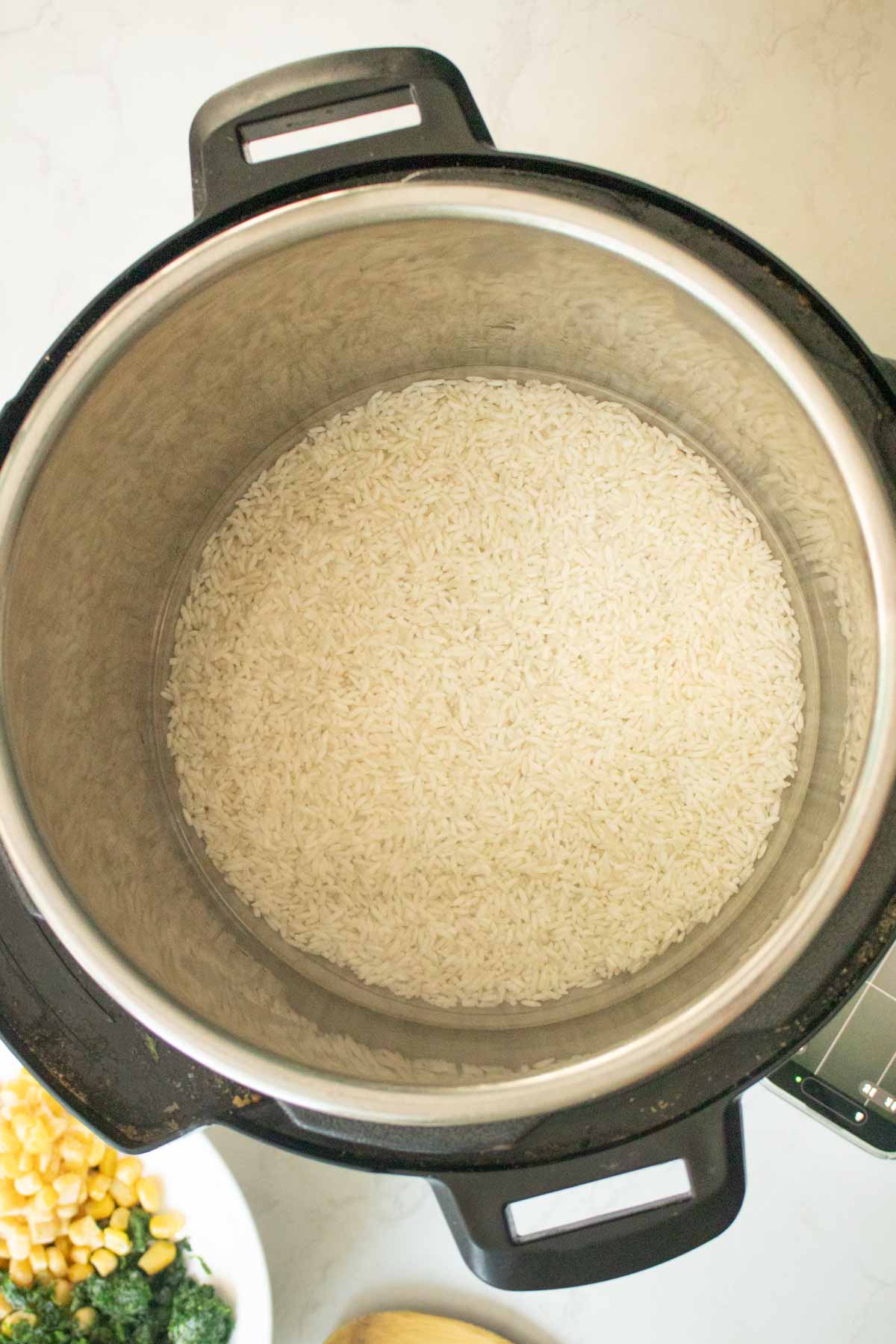 rice and water in the Instant Pot