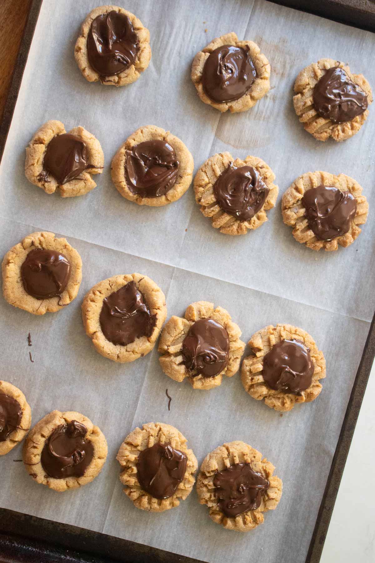 peanut butter chocolate cookies on the baking sheet after adding the chocolate