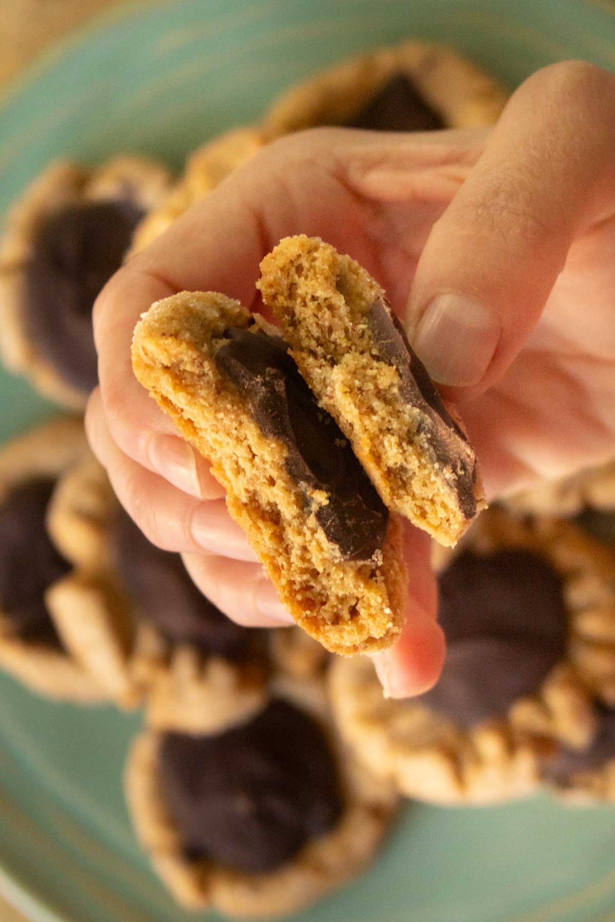 hand holding a peanut butter chocolate cookie broken in half, so you can see inside texture