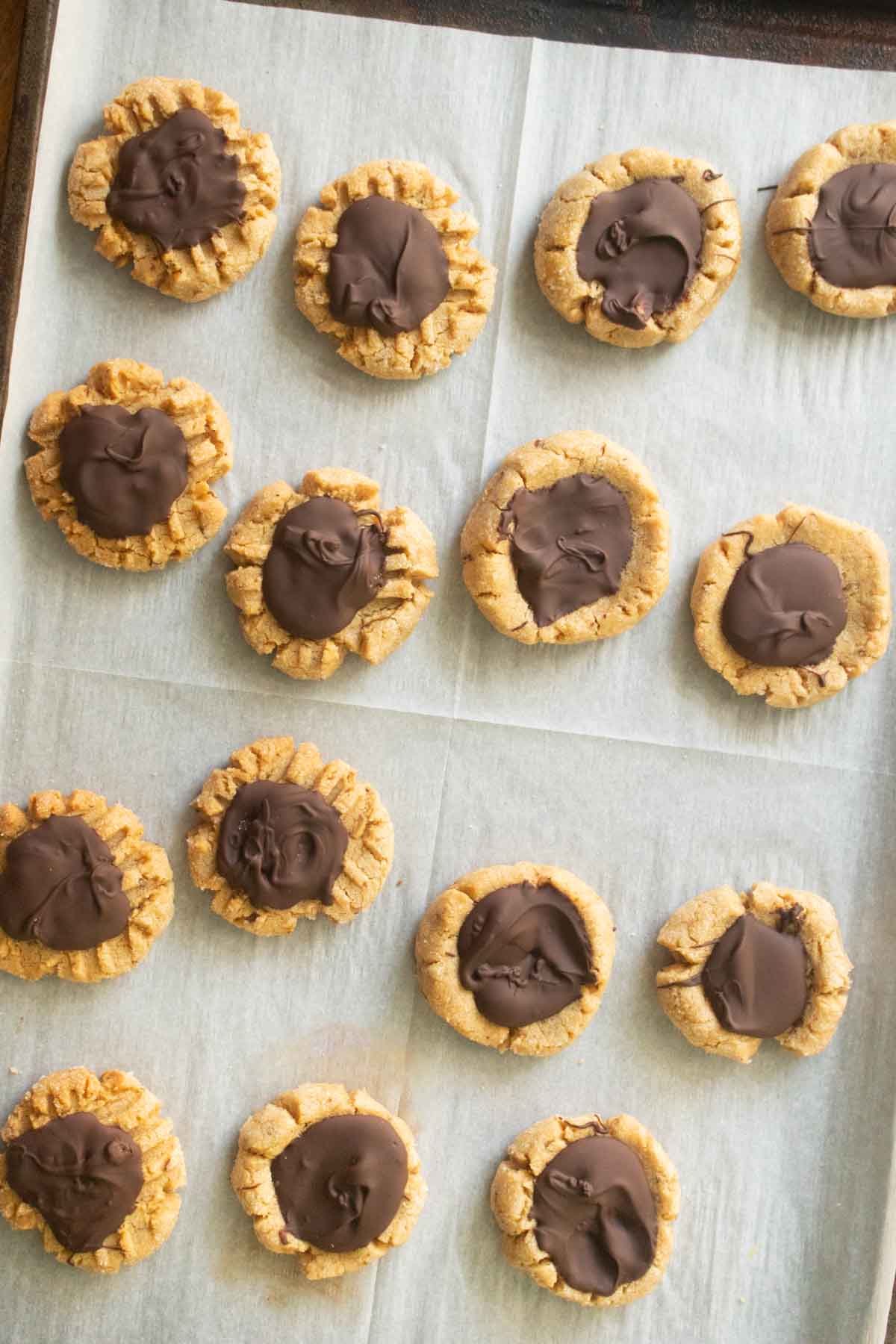 peanut butter chocolate cookies on the baking sheet after chilling to firm up the chocolate