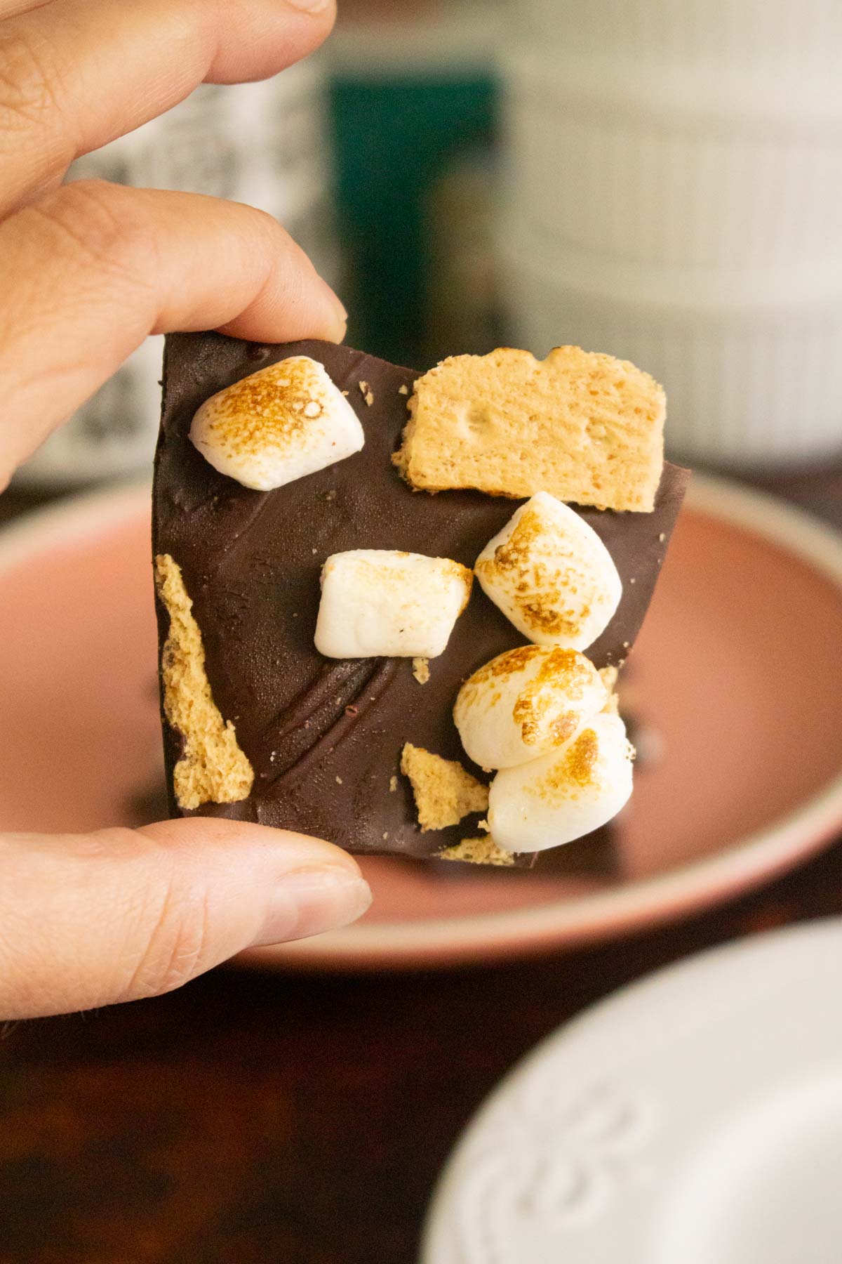 close-up of a hand holding a piece of s'mores bark